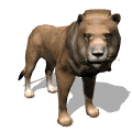 Gif animé lion debout
